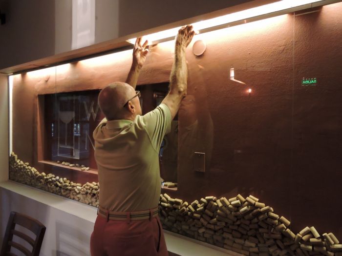Wine Tasting in Argentina's Mendoza Wine Region