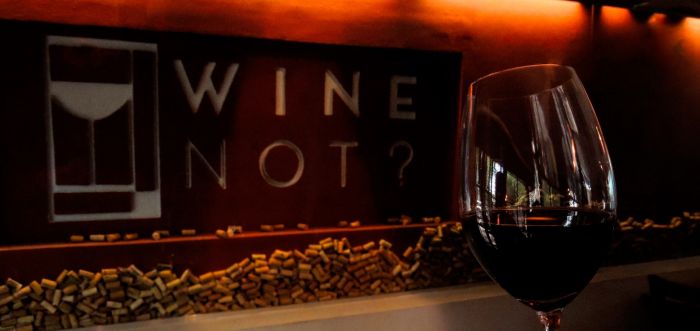 Wine Tasting in Argentina's Mendoza Wine Region