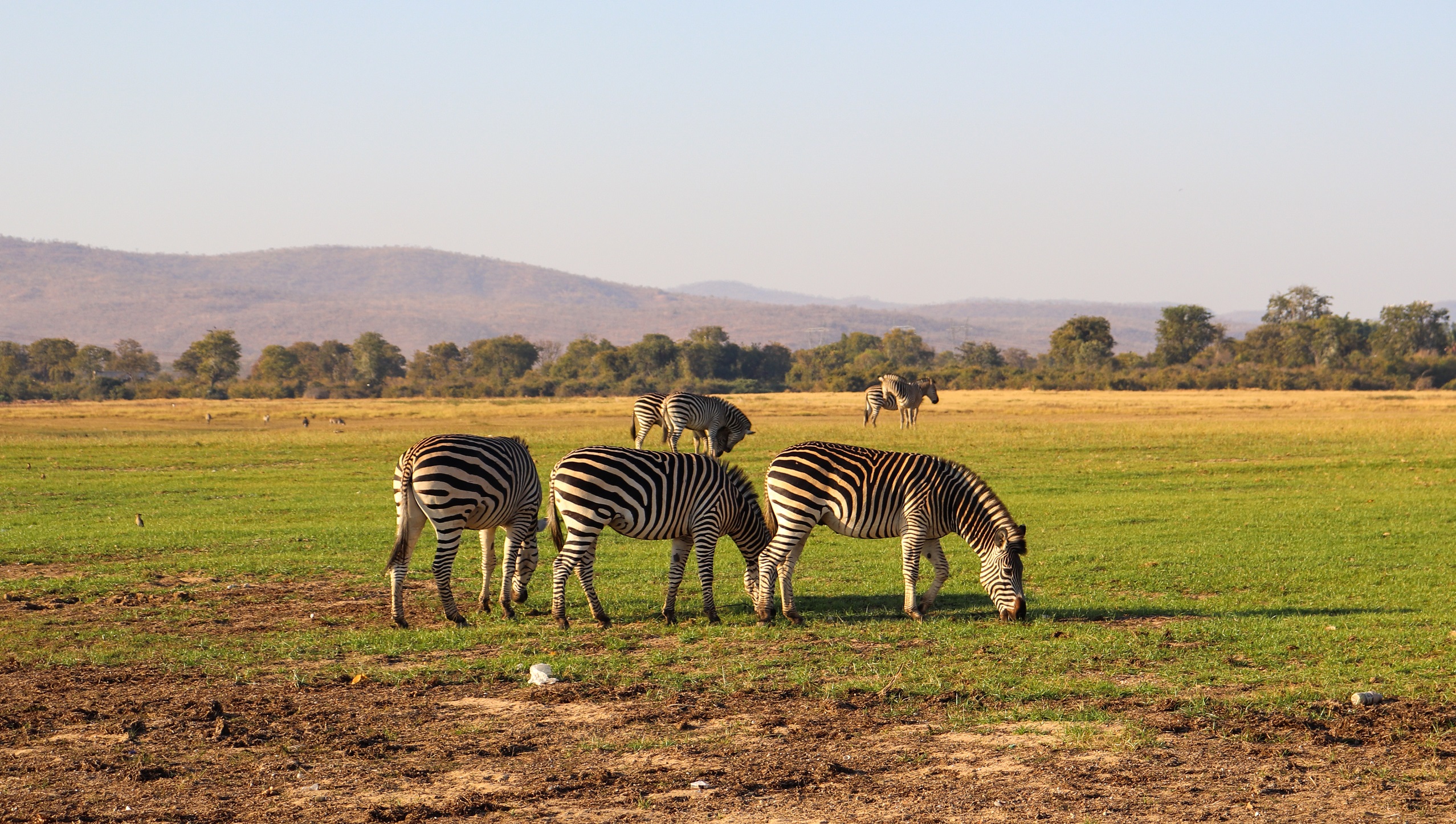 Matusadona National Park, safari, zimbabwe