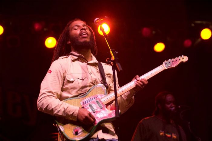 ziggy marley