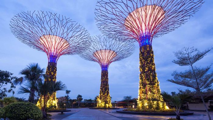 Gardens By the Bay, supertrees, singapore