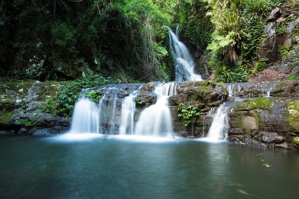 The Top 7 Reasons Why You Should Visit Brisbane with Your Family