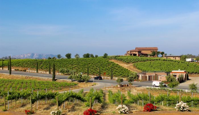 Wilson Creek Winery