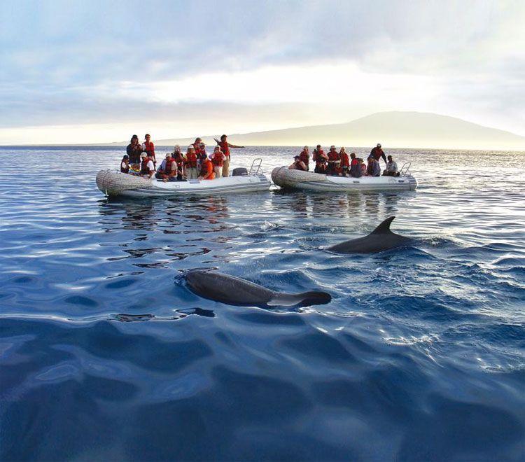 a&k Galapagos cruise