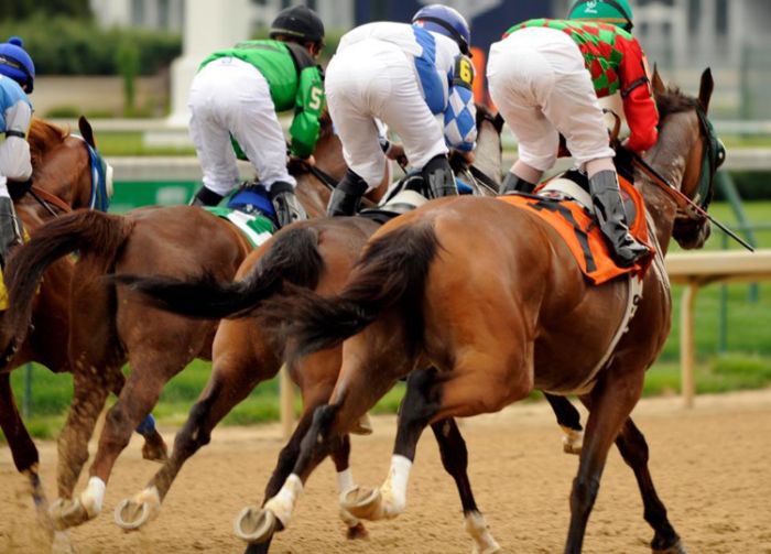 kentucky derby history