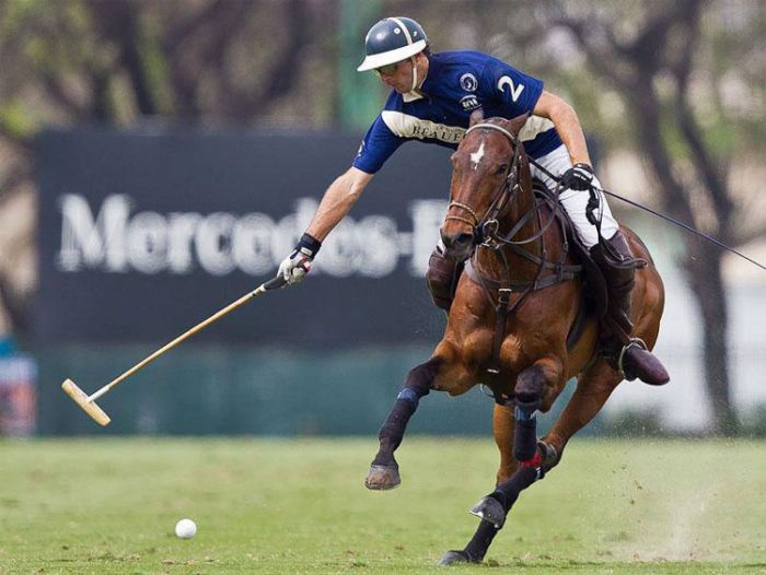 International Polo Club Palm Beach