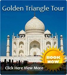 Best India Tour