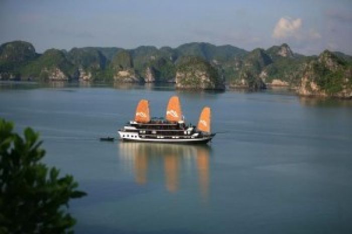 Halong bay tours - Paradies cruise