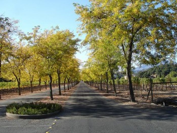 Sterling Vineyards in Napa Valley, California