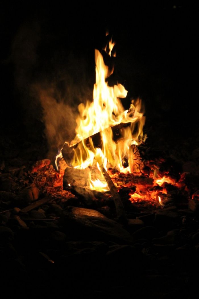 wood burning stoves