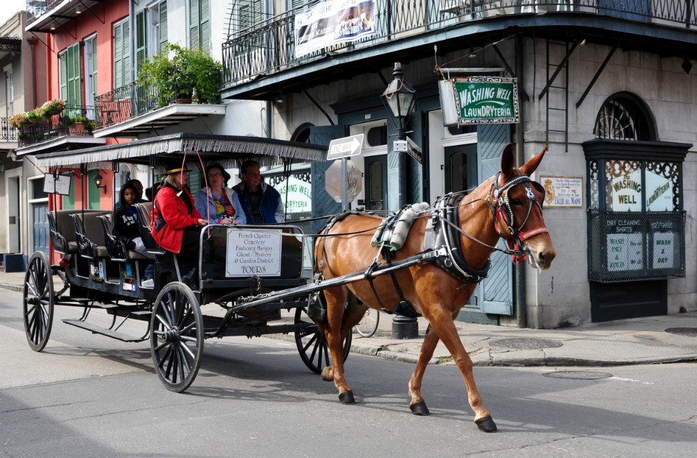 horse drawn tour of the historic New Orleans