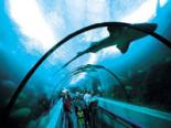 National Aquarium