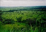 Abokouamekro National Park