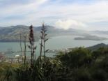 Christchurch Gondola