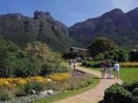 Kirstenbosch Botanical Gardens