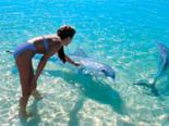 Monkey Mia Resort