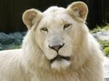 Johannesburg Zoo