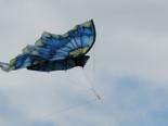 National Festival of Kites