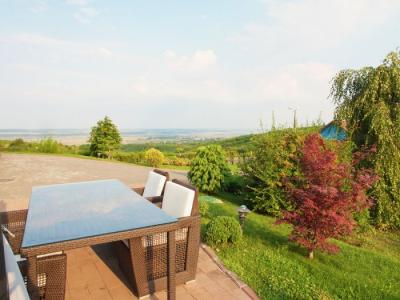 Vineyard Property Casa Isarescu Charms with Panoramic Views of Romania