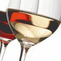Annual New York Wine Expo