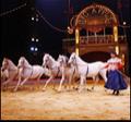 Big Apple Circus