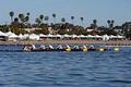 San Diego Crew Classic