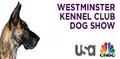 Westminster Kennel Club Dog Show