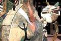 Fountain Hills Fine Art & Wine Affaire