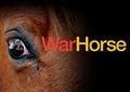 War Horse
