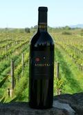6th Annual Pinot Days Grand Festival Tasting