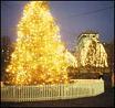 Christmas Lights on Boston Common