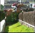 The Great Paris Steeplechase