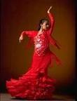 Caja Madrid Flamenco Festival