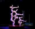International Circus Festival of Tomorrow
