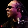 Stevie Wonder's Annual House Full of Toys Concert