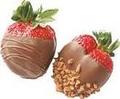Chocolate Festival