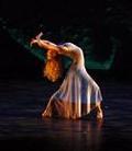 Miami Dance Festival