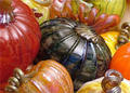 Half Moon Bay Art Glass Showcases Stunning Glass Pumpkin Patch