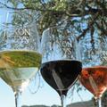 Holiday Open House at Jaxon Keys Winery