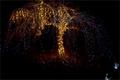 Festival of Lights