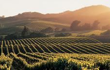 Solage Calistoga