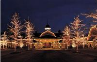 The Ritz-Carlton Lodge, Reynolds Plantation