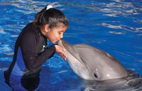 Sea World