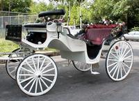 Cinderella Carriage