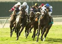 Del Mar Thoroughbred Club