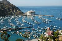 Catalina Island