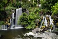 Los Angeles County Arboretum and Botanical Garden