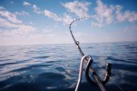 Fishing Charter