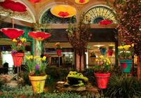 Bellagio Conservatory & Botanical Gardens