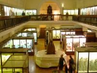 Horniman Museum & Gardens